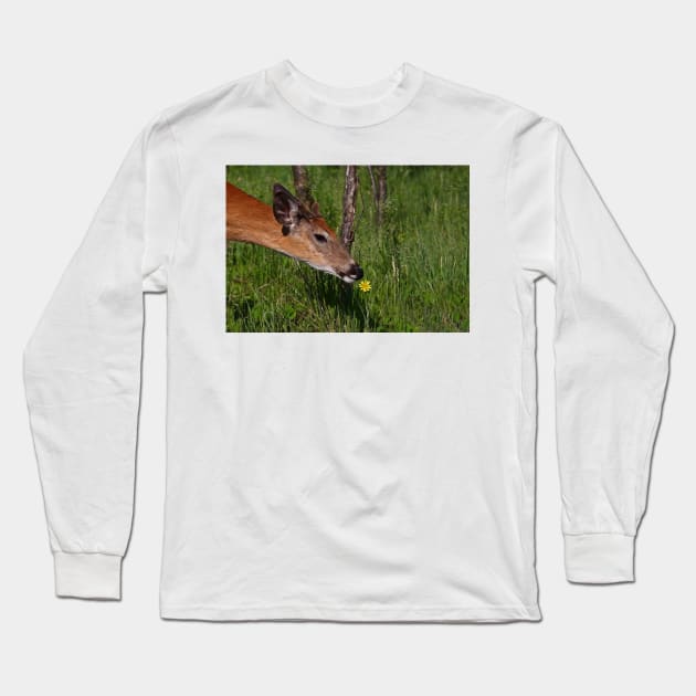 Spring is here! White-tailed deer Long Sleeve T-Shirt by Jim Cumming